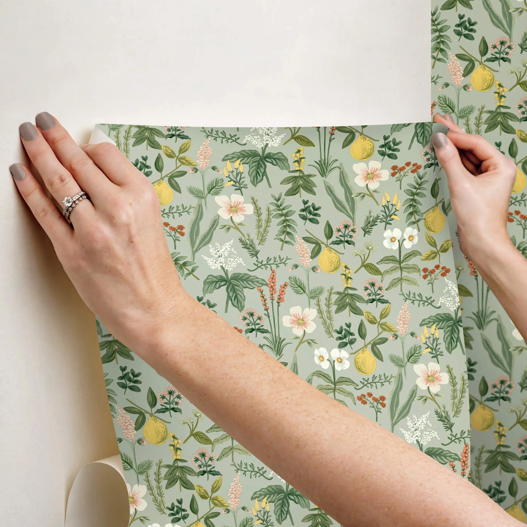 Rifle Paper Co. Herb Garden Peel & Stick Wallpaper - Sage - Image 3