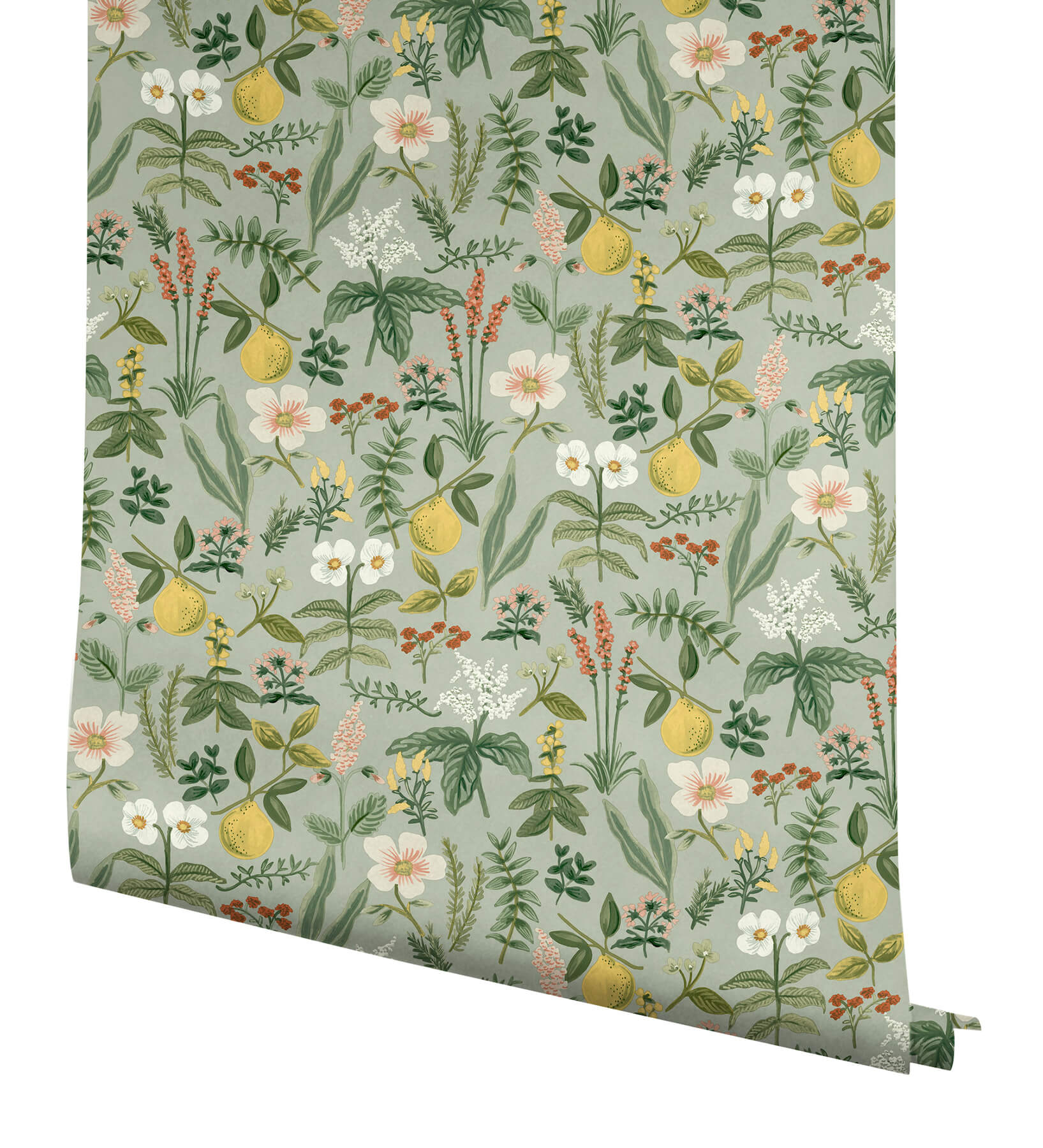 Rifle Paper Co. Herb Garden Peel & Stick Wallpaper - Sage - Image 4