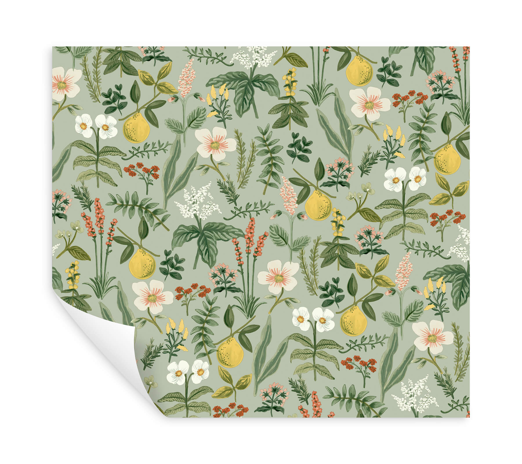 Rifle Paper Co. Herb Garden Peel & Stick Wallpaper - Sage - Image 5