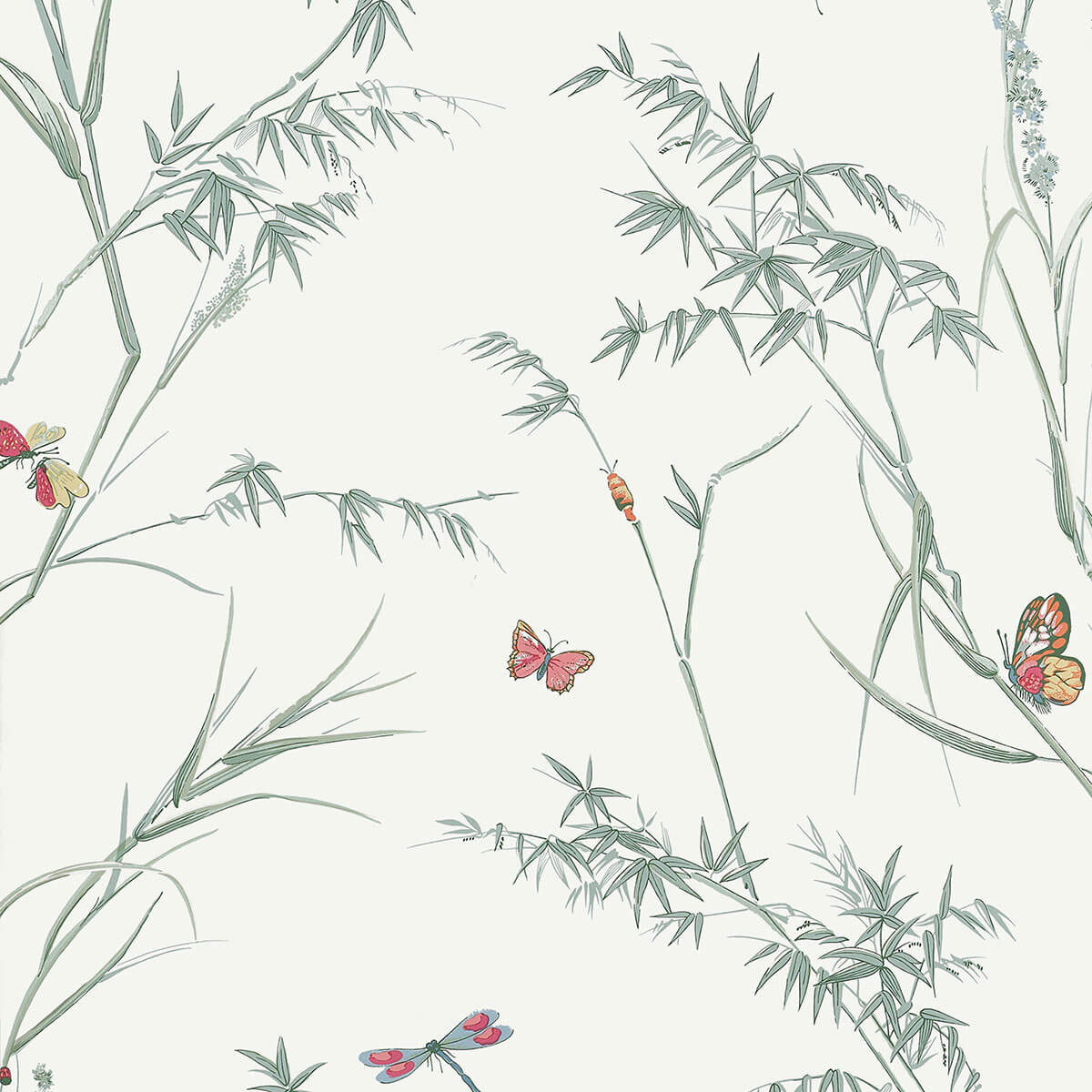 Popular Wallpaper